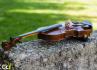 Adelaide Violin
