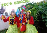 Toc'a Brincar