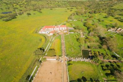 Quinta Pureza