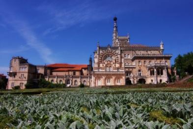 Fundação Mata do Buçaco