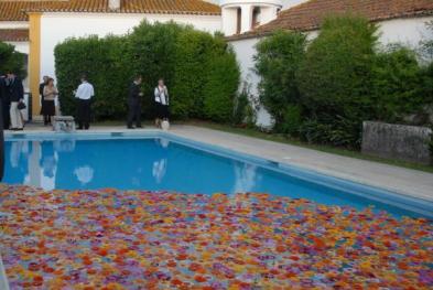 Quinta do Mocho - Santarém