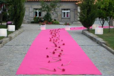 Quinta Thiagos