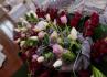 Quinta da Ponte-Lousada