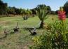 Herdade da Baracha