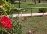 Herdade da Baracha