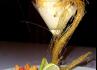 Quinta do Joinal - Evento Gourmet