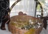 Sonhos de Cristal Designs