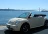 New Beetle Eventos