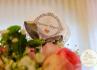 Aconchego Eventos