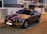 buggymustang