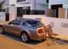 buggymustang