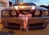 buggymustang