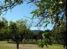 Quinta do Cerrado