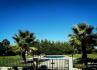 Quinta Thiagos