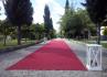 Quinta Thiagos