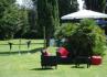 Evento Gourmet - catering