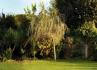 Jardins Boavista