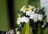 wedding Madeira
