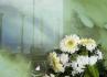 wedding Madeira