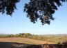 Quinta de Azinhais