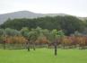 Quinta de Catralvos