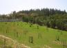 Quinta do Medronhal